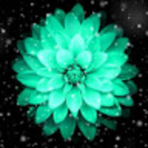 Meet your Posher, Lurae